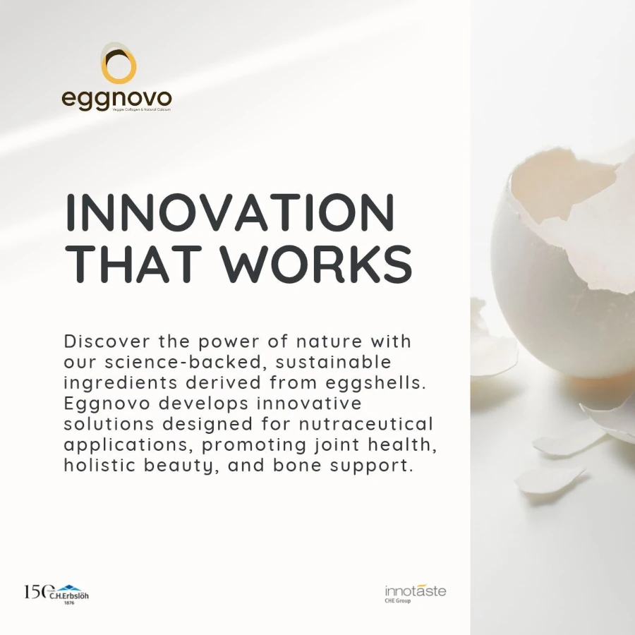 Eggnovo S.L
