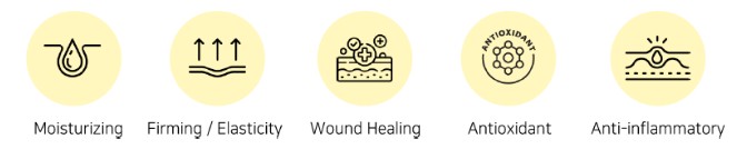 zastosowanie Goldbrew Phyto‑Mucin