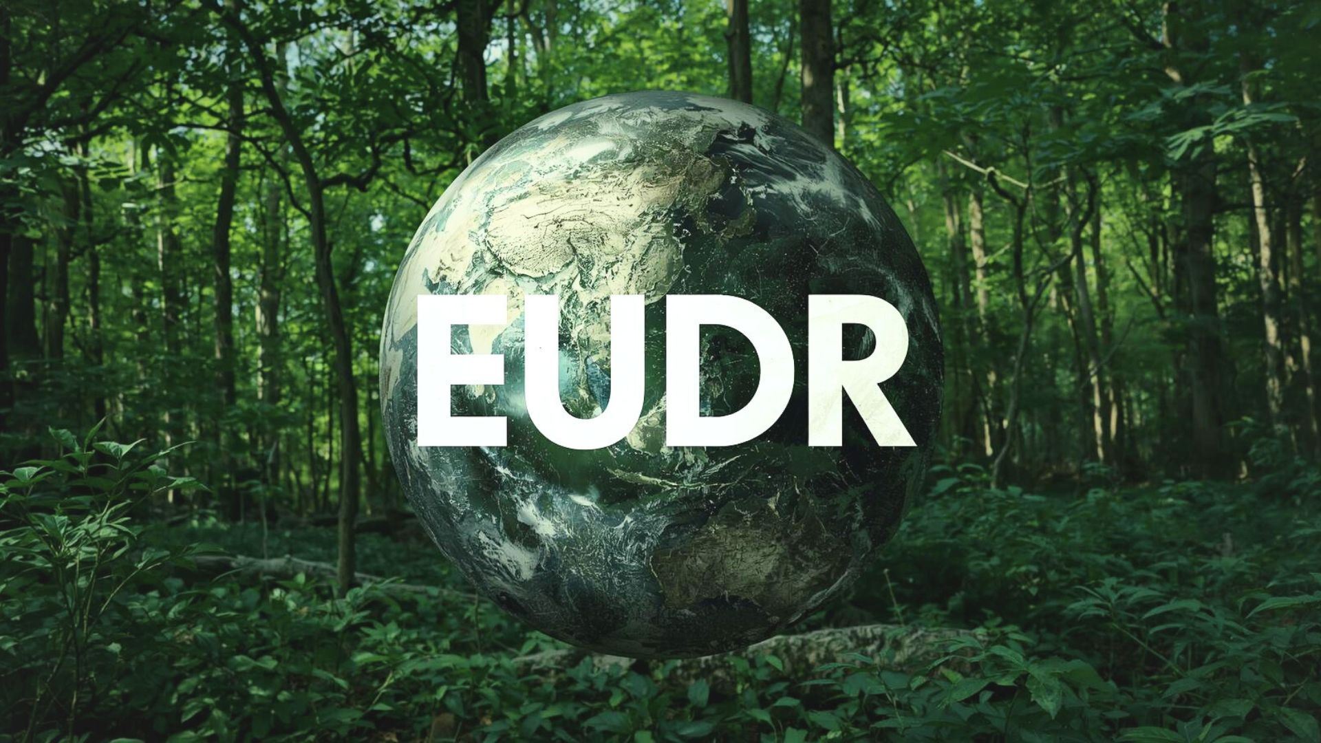 Rozporządzenie EUDR (EU Deforestation Regulation)