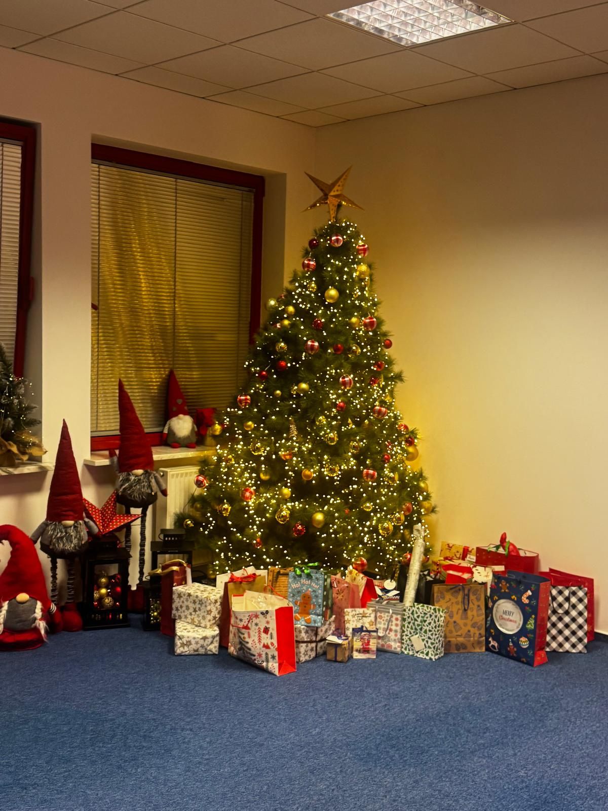 Pomoc na Święta ze Szlachetną Paczką