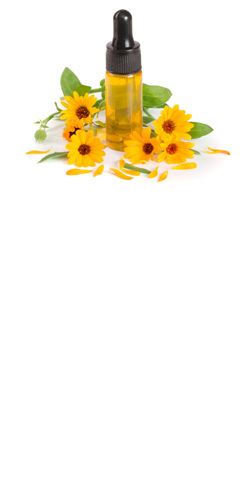 Standaryzowane ekstrakty roślinne