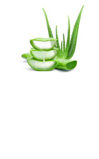 Aloes