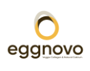 Eggnovo