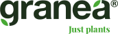 Teksturowane białko grochowe - producent GRANEA