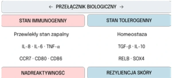 Rysunek 2. Biologiczny przełącznik: stany funkcjonalne komórek Langerhansa oraz ich wpływ na dalsze reakcje układu odpornościowego