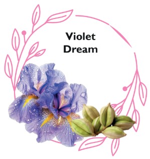 violet dream